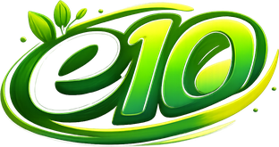 e10